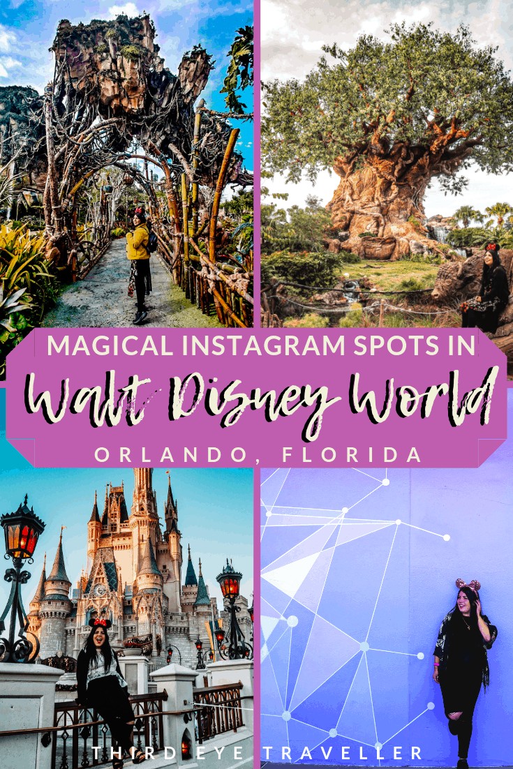 instagram spots walt disney world