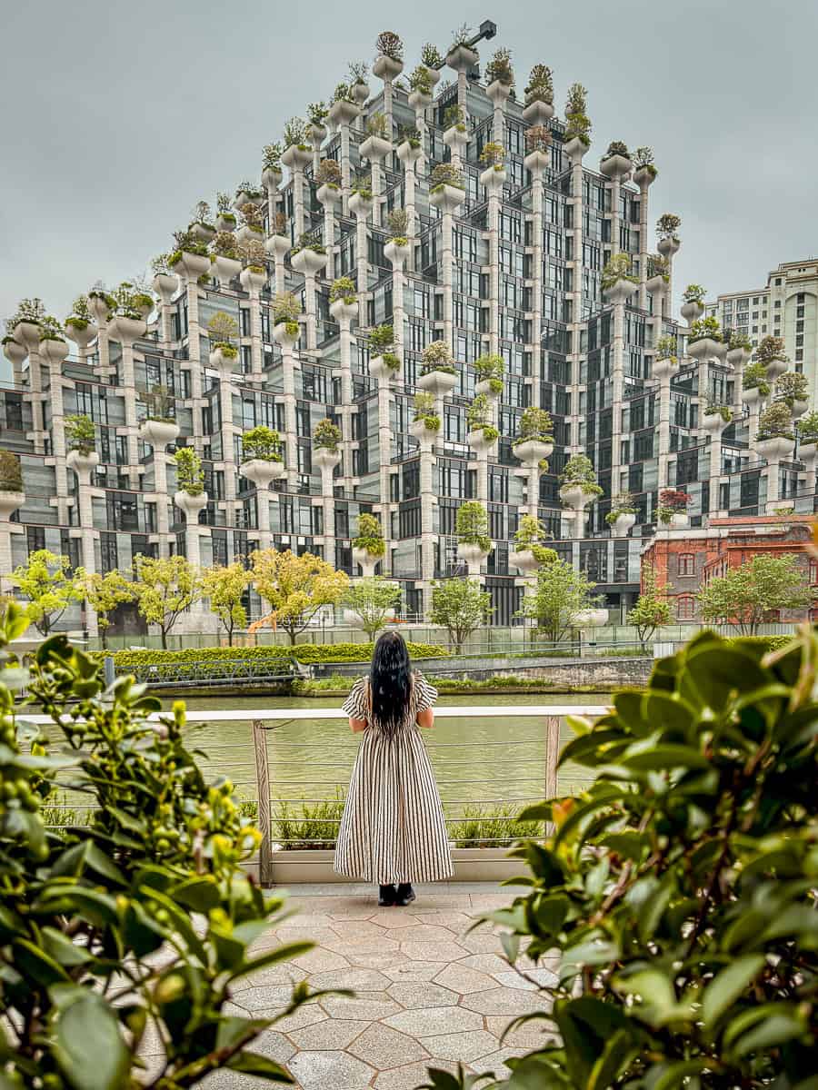 How to Visit 1000 Trees Shanghai