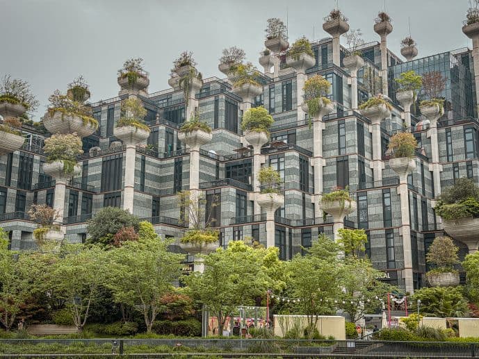 How to Visit 1000 Trees Shanghai