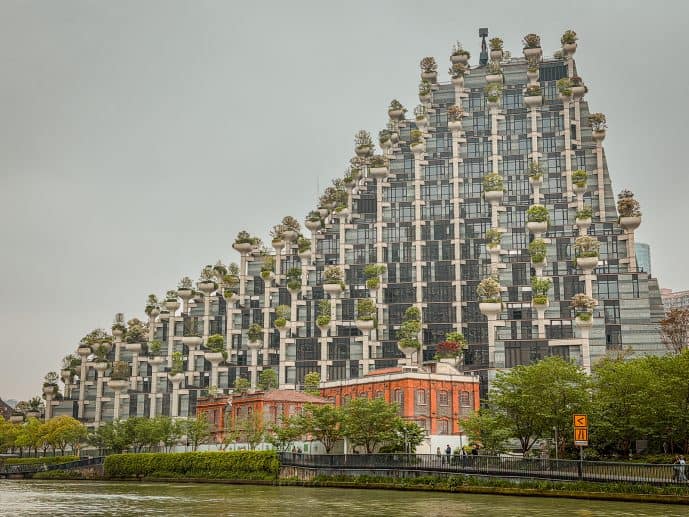 How to Visit 1000 Trees Shanghai