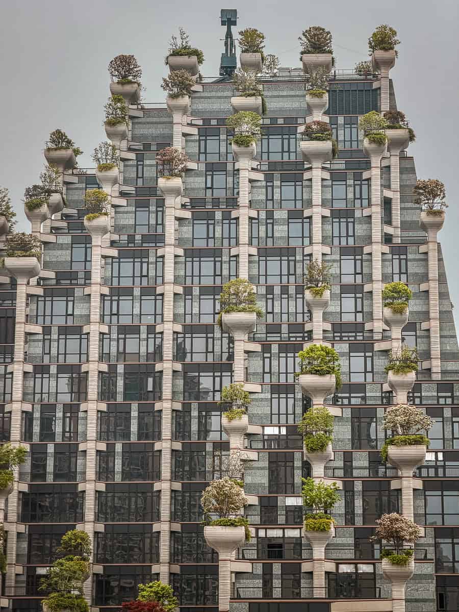 How to Visit 1000 Trees Shanghai