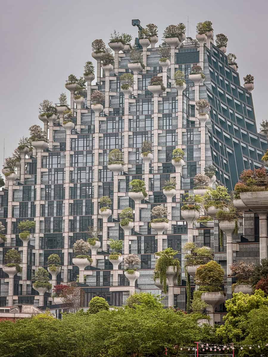 How to Visit 1000 Trees Shanghai