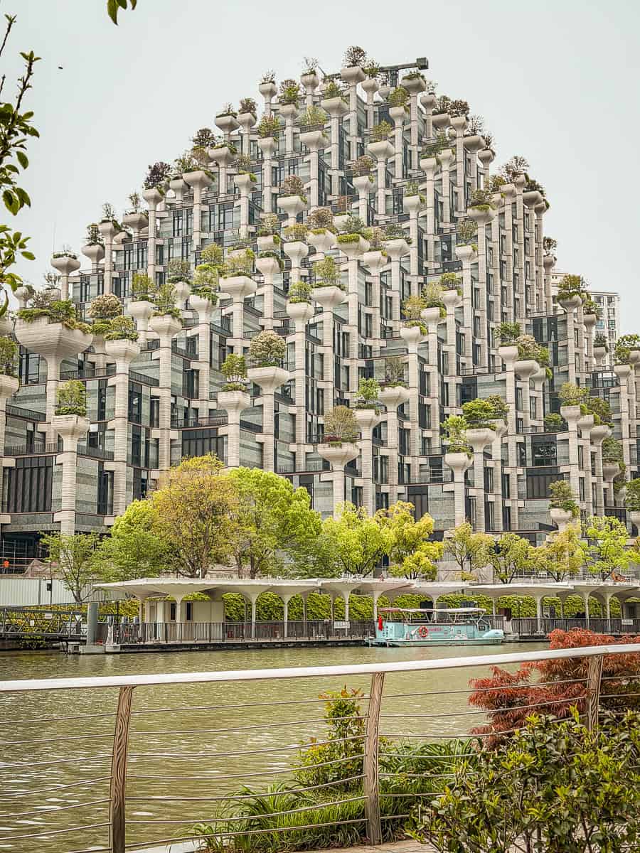 How to Visit 1000 Trees Shanghai
