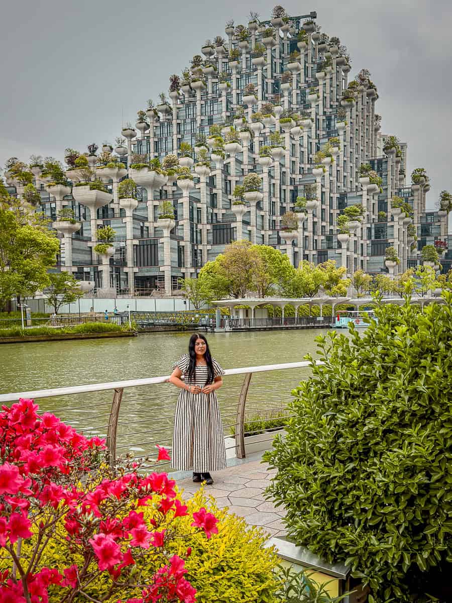 How to Visit 1000 Trees Shanghai