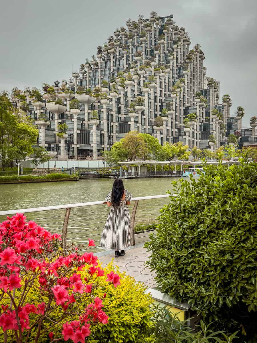 How to Visit 1000 Trees Shanghai