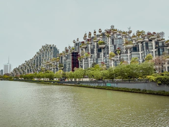 How to Visit 1000 Trees Shanghai