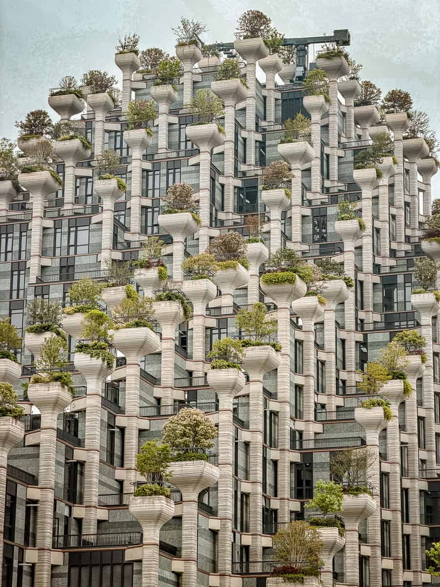 How to Visit 1000 Trees Shanghai