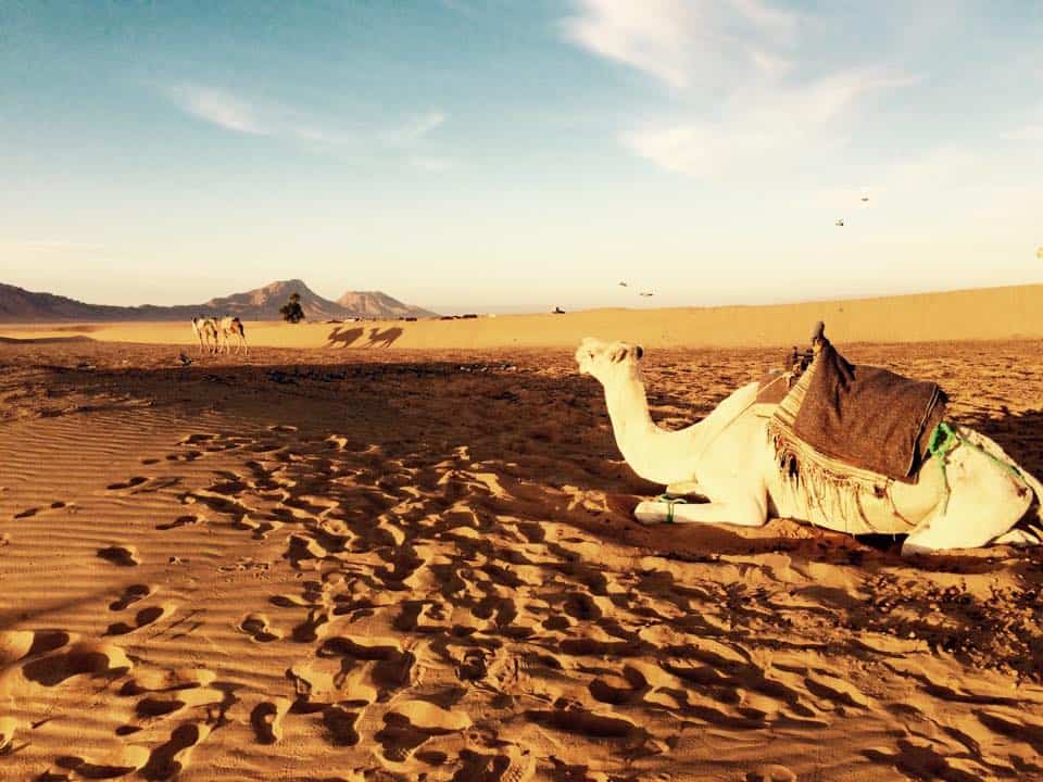 7+ Best Things to See on a Sahara Desert tour in Morocco