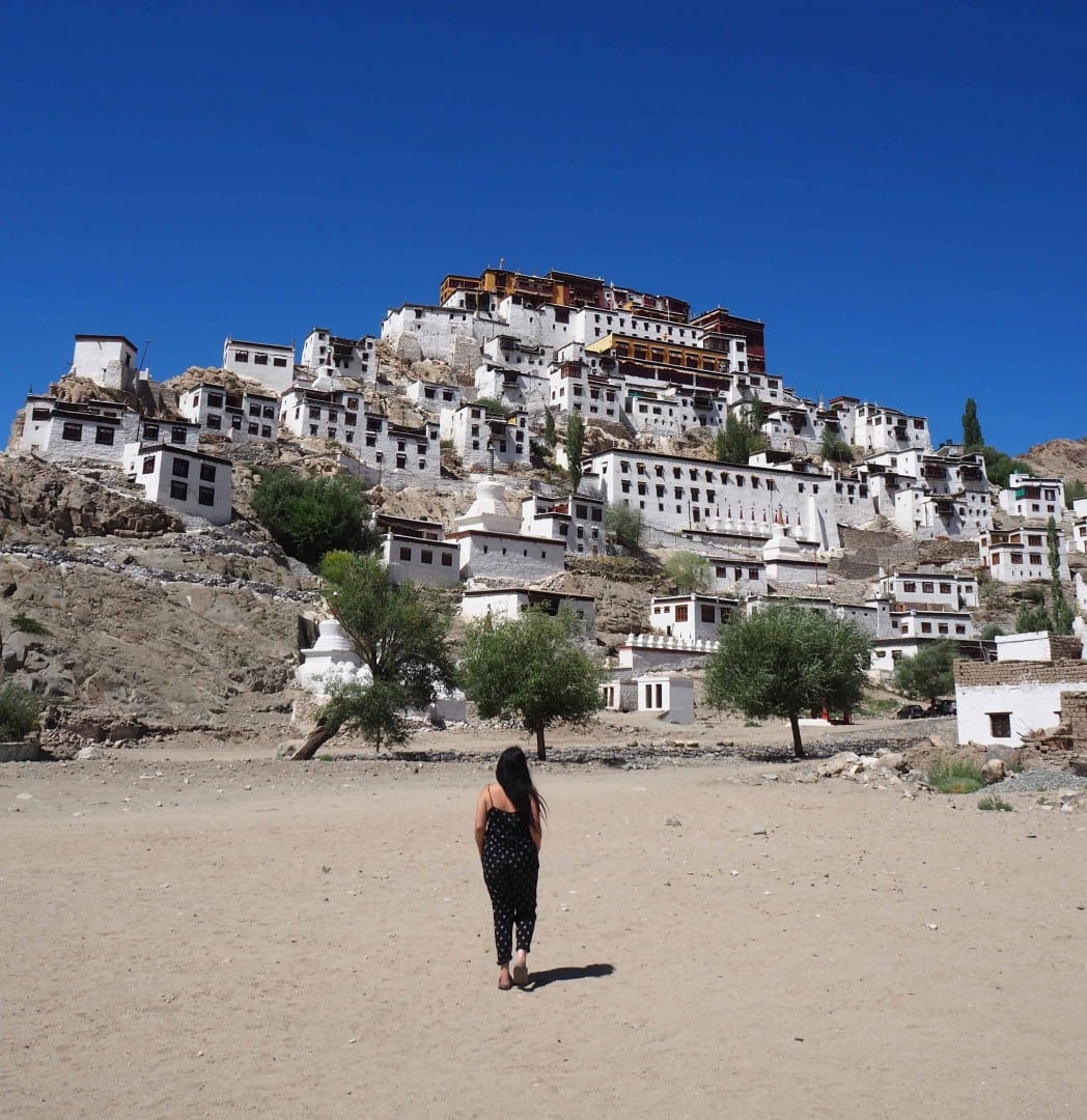 thiksey monastery ladakh