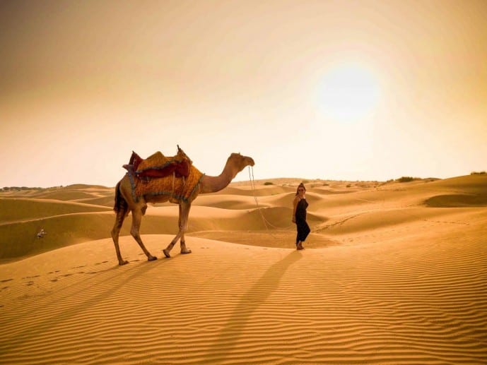 Camel Safari In Jaisalmer - 8 Important Tips To Have A Great Time!