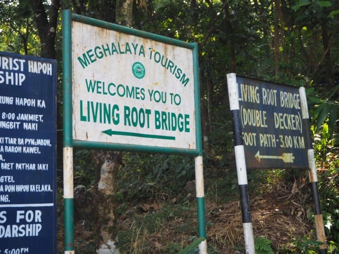 how to reach the double decker living root bridge cherrapunjee