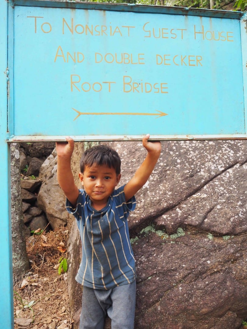 how to reach the double decker living root bridge cherrapunjee