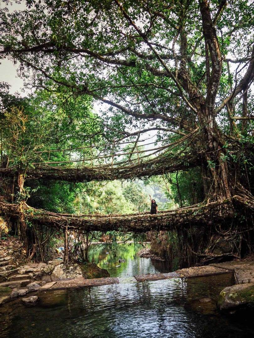 how to reach double decker root bridge cherrapunje