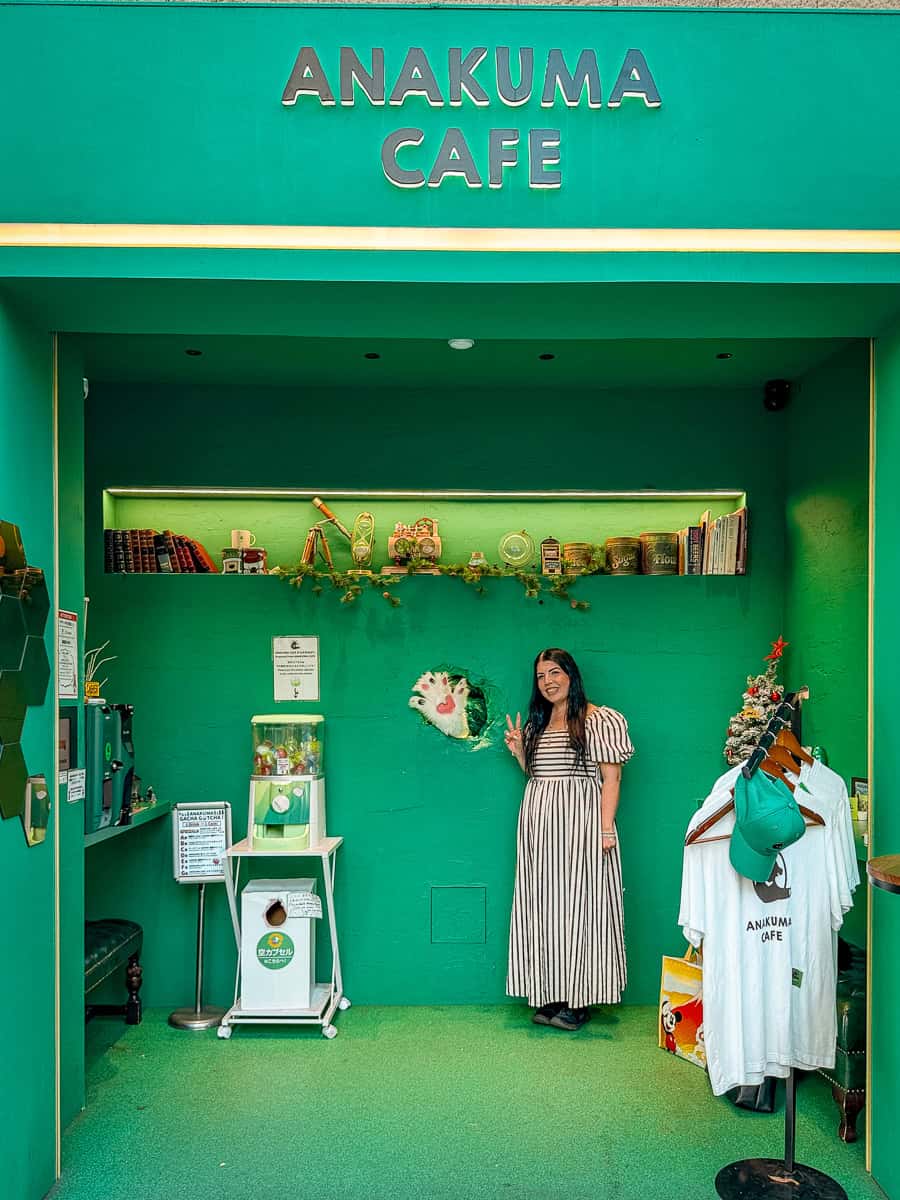 How to visit anakuma cafe bear paw hole in wall tokyo
