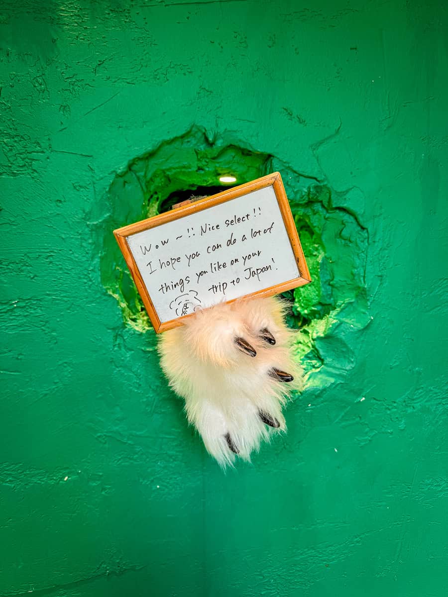 Anakuma Café - Visit a Whimsical Bear Paw Café in Tokyo! 3 Anakuma Cafe Bear Paw Hole in Wall Japan