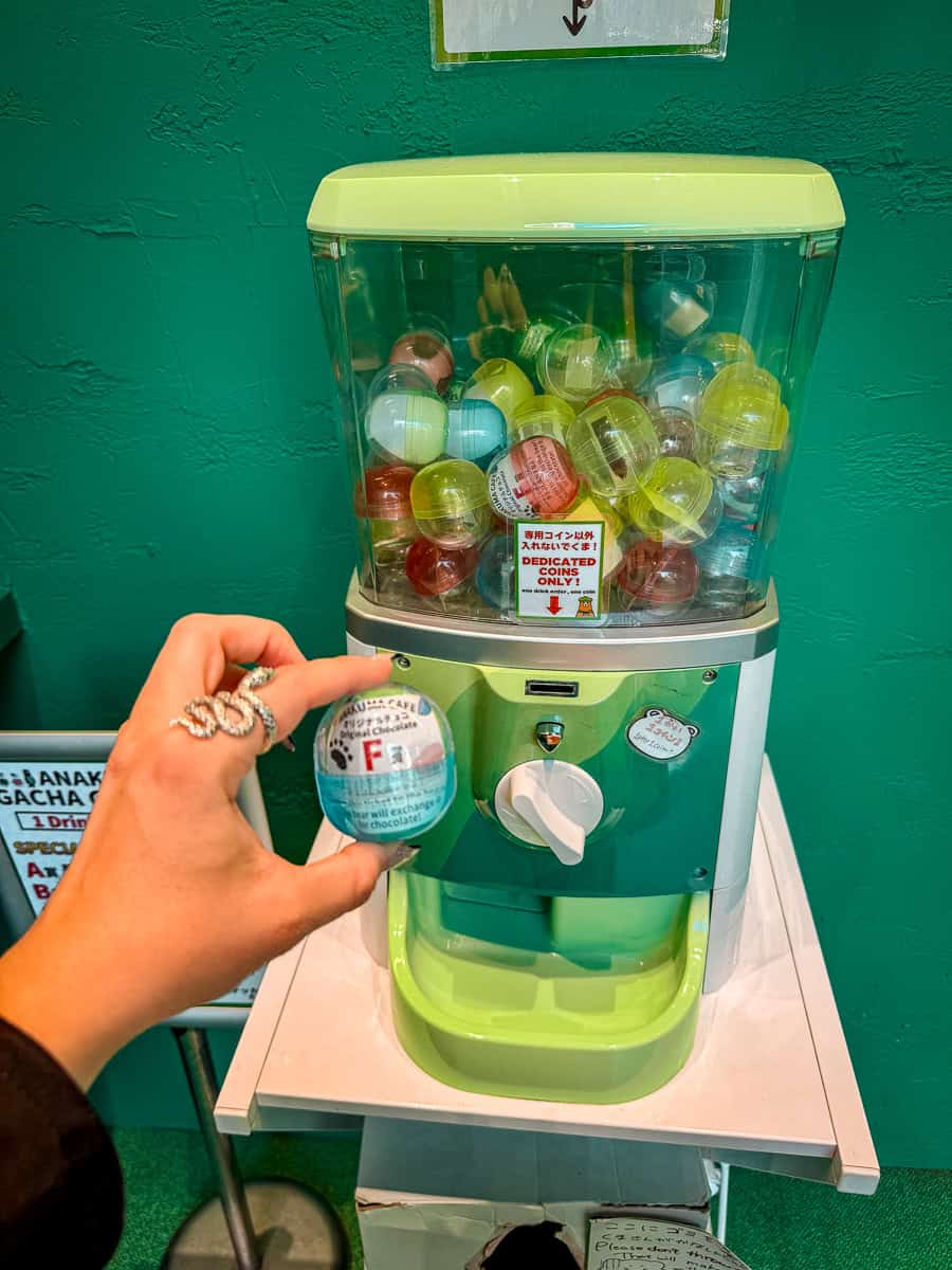 Anakuma Café - Visit a Whimsical Bear Paw Café in Tokyo! 11 Anakuma Cafe Gachapon Machine