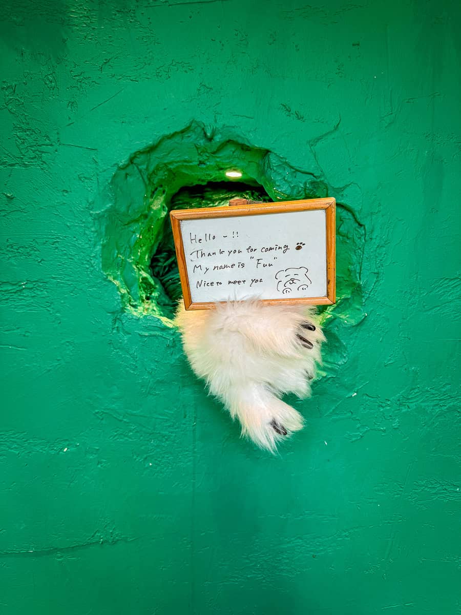 Anakuma Café - Visit a Whimsical Bear Paw Café in Tokyo! 10 Anakuma Cafe Bear Paw Coffee