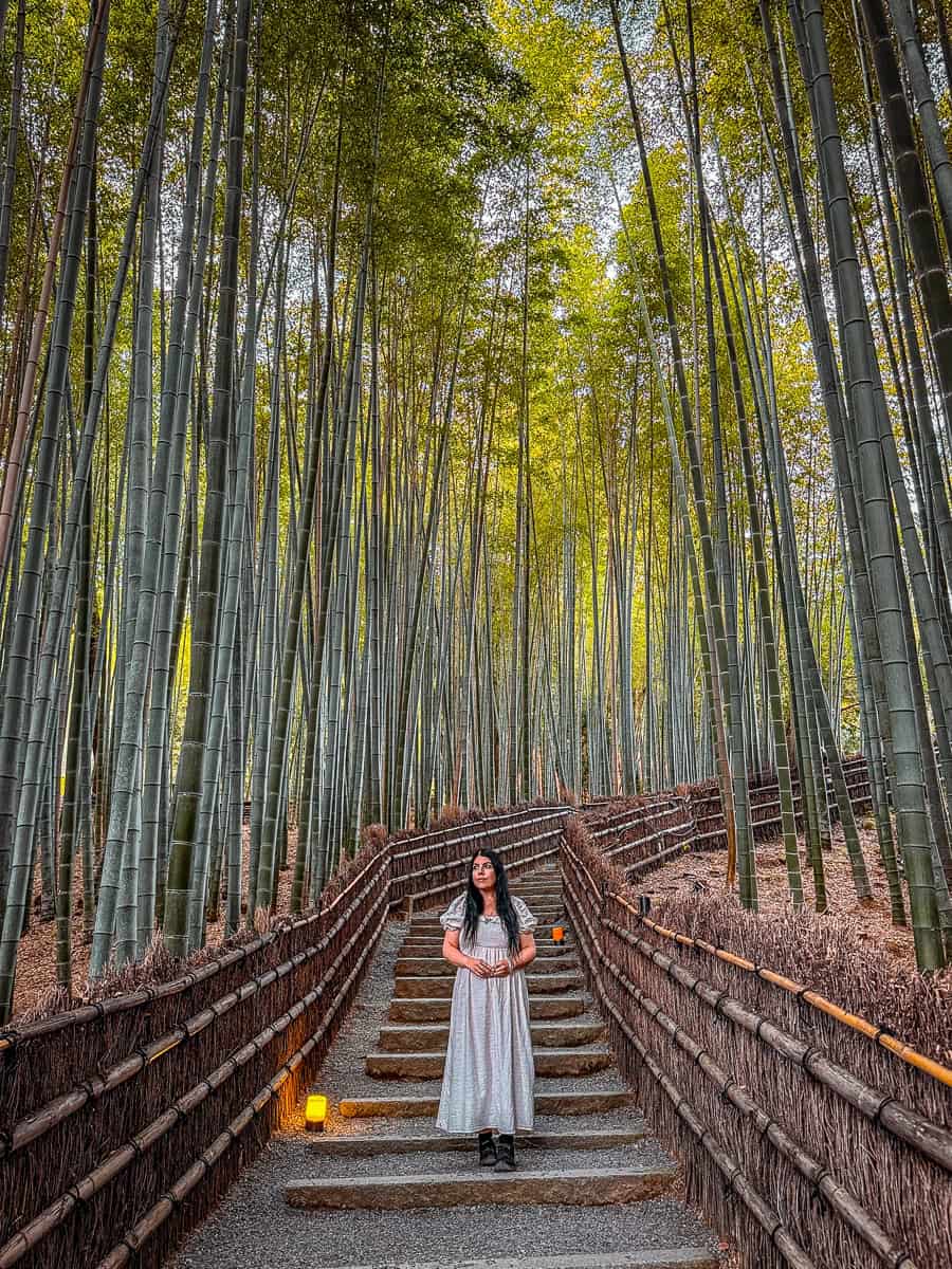 Adashino Nenbutsuji Temple Bamboo Grove