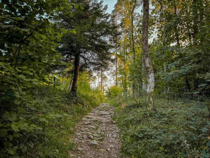 Follow the open path to the Fairy Steps