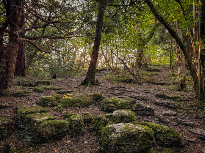the concessionary path to the Fairy Steps
