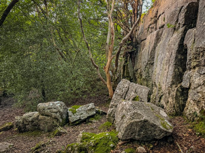 the concessionary path to the Fairy Steps