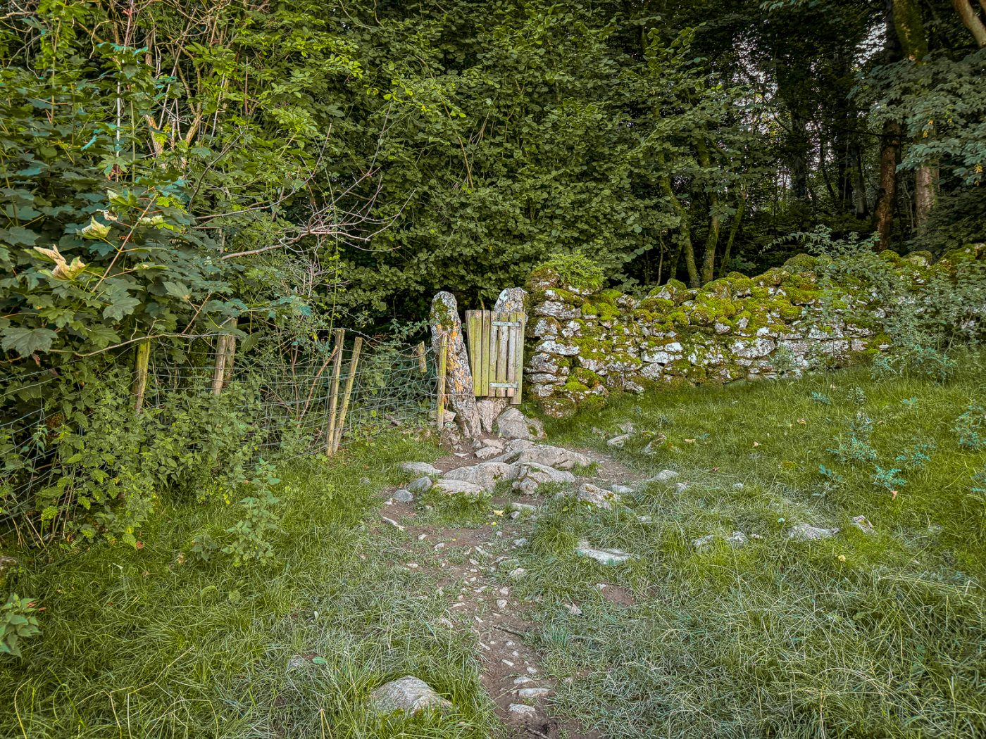 quickest Fairy Steps walk