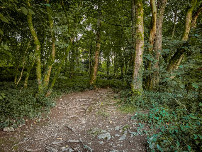 Fairy Steps Walk
