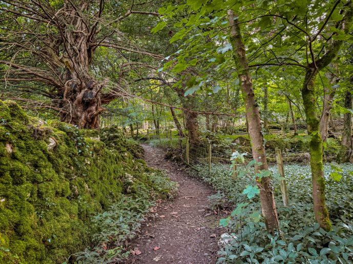 Fairy steps walk follow the mossy wall to the main footpath