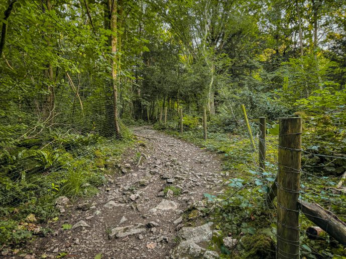 Fairy Steps Walk
