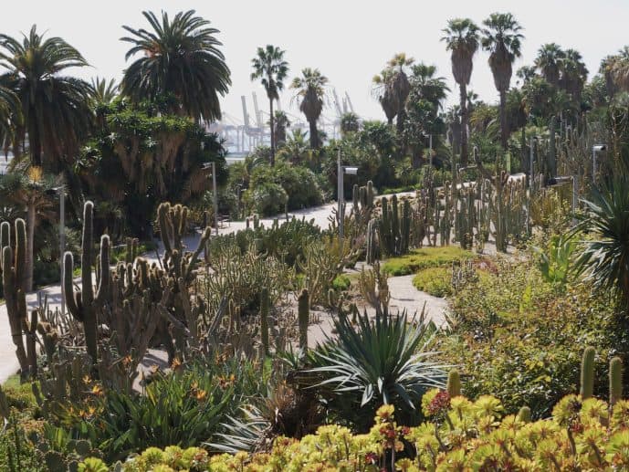 Cactus Garden Barcelona