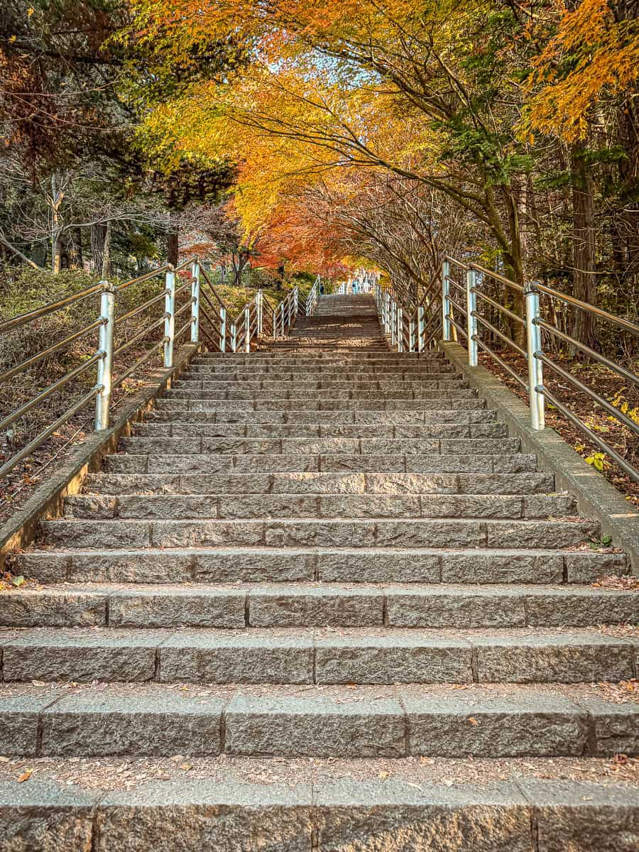 Chureito Pagoda Stairs