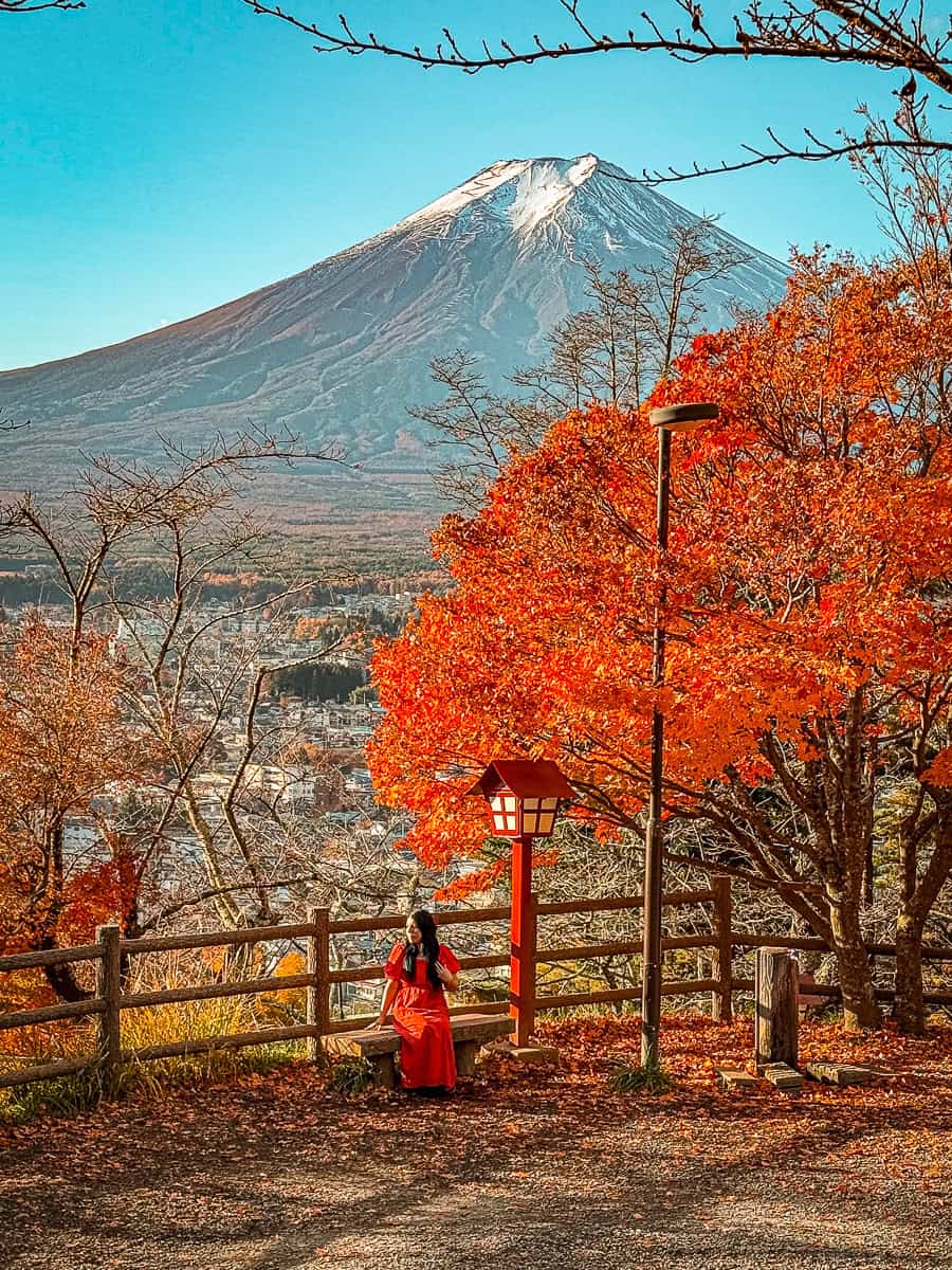 Chureito Pagoda Mount fuji Japan