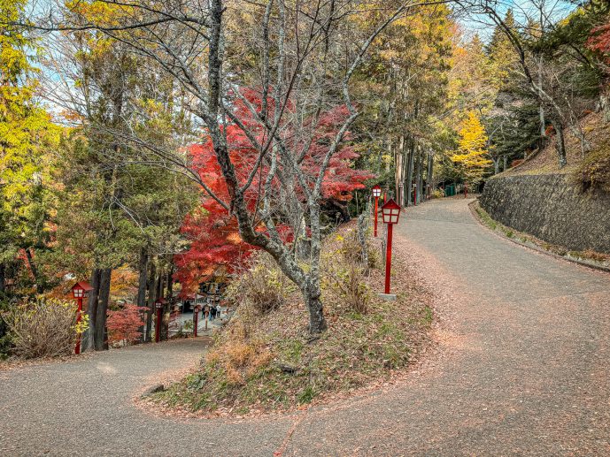 Chureito Pagoda Slopes