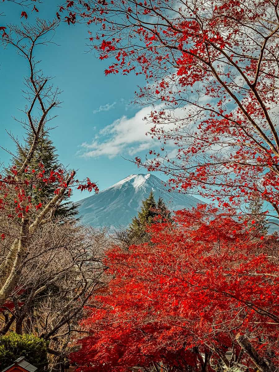 Chureito Pagoda Walk Mount Fuji view
