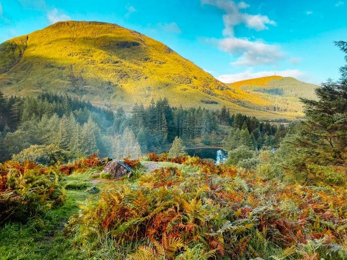 Hagrid's Hut Location Glencoe 