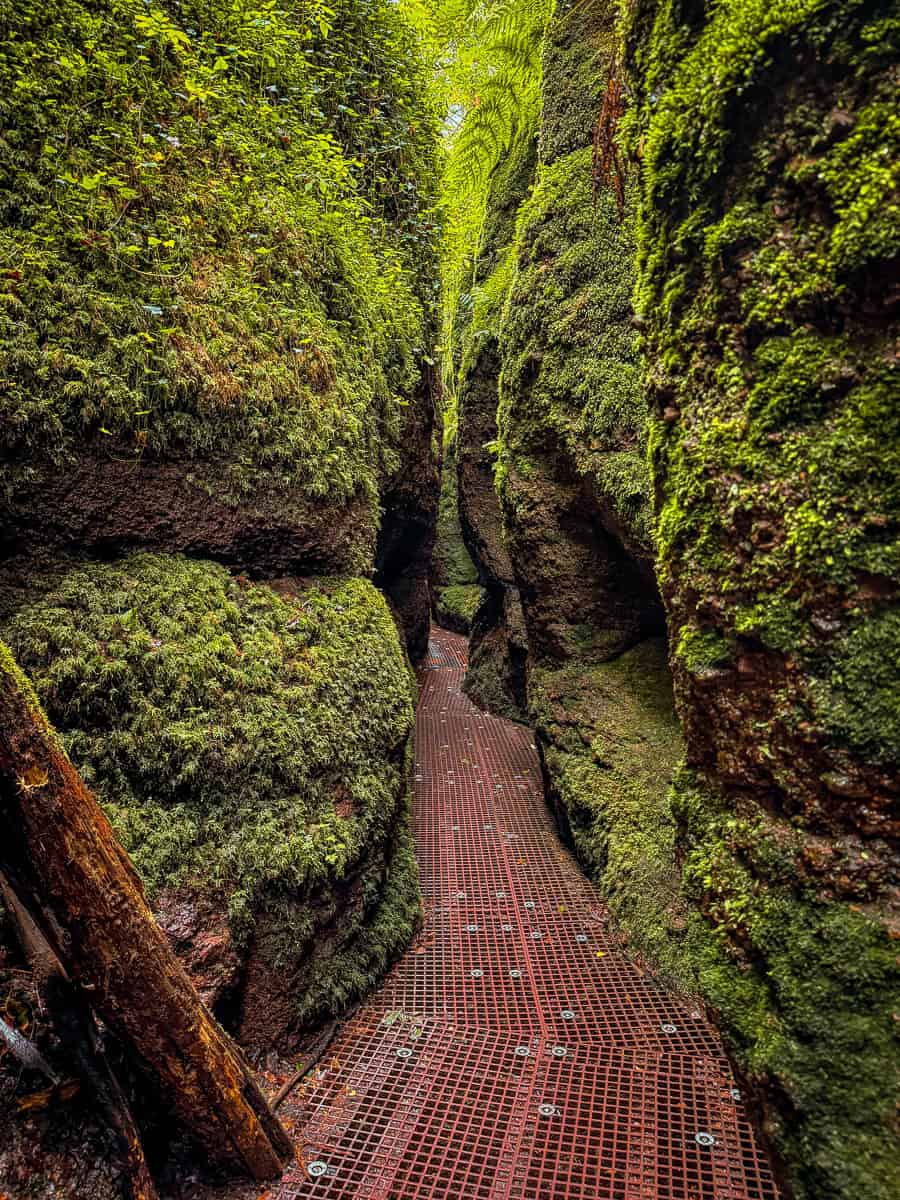 Dragon Gorge Eisenach