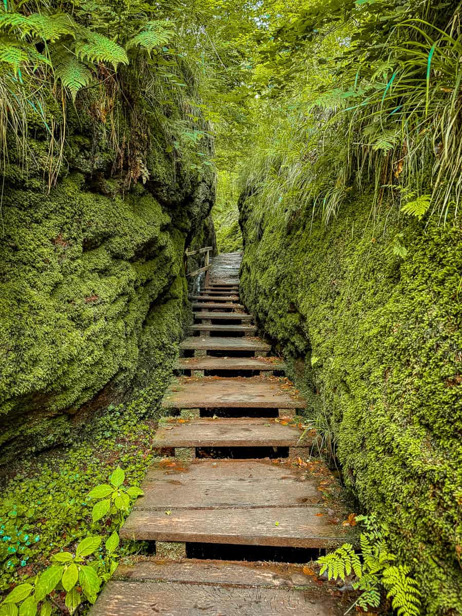 The steps up to Hohe Sonne