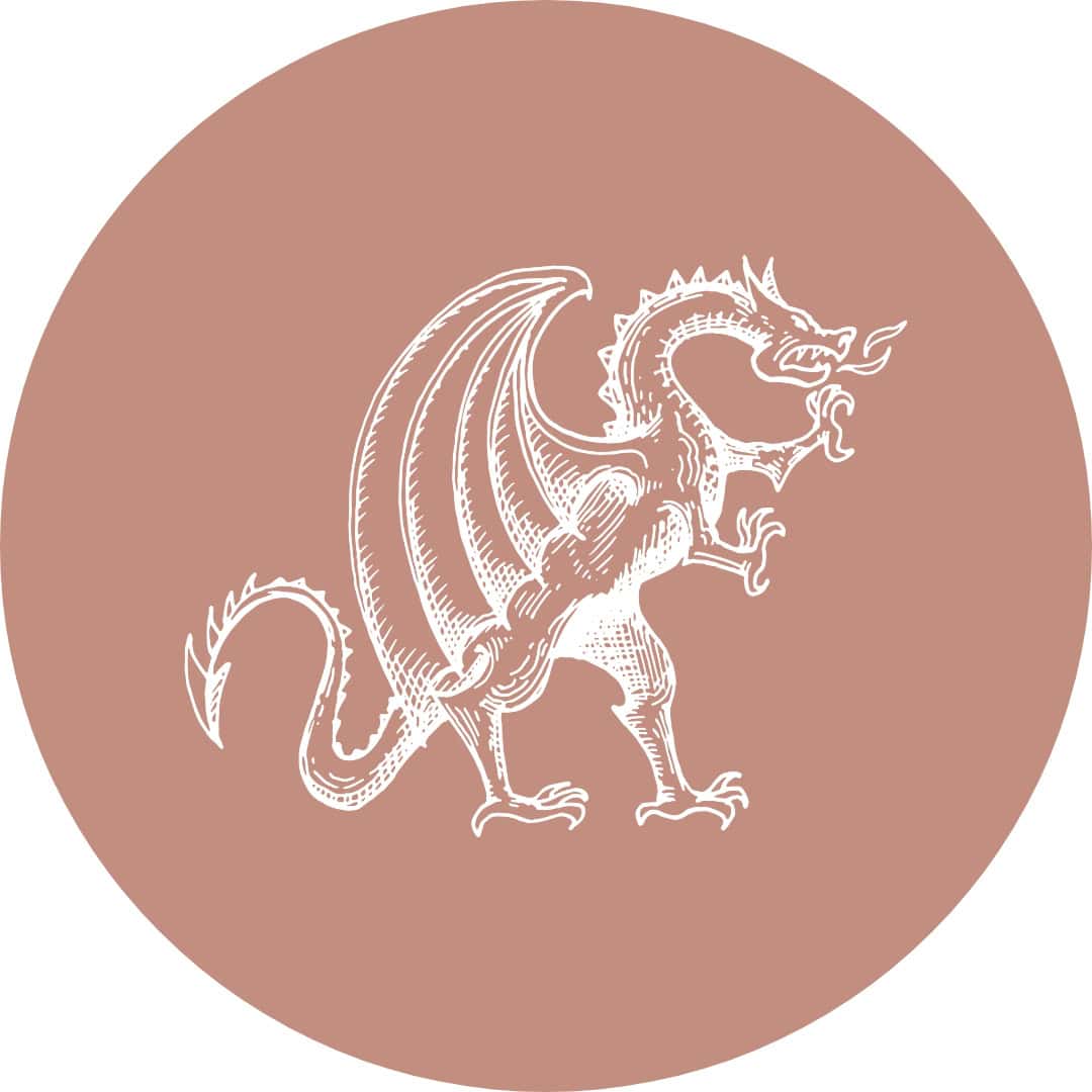 Dragon Icon
