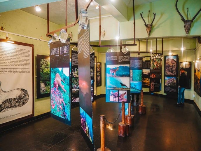 Eravikulam National Park Museum in Munnar