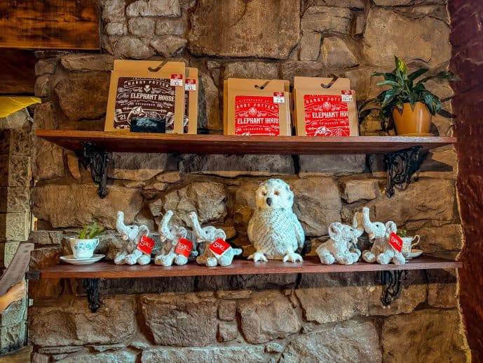 The Elephant House - Visit the Birthplace of Harry Potter in Edinburgh! 15 Visit the Elephant House Birthplace of Harry Potter