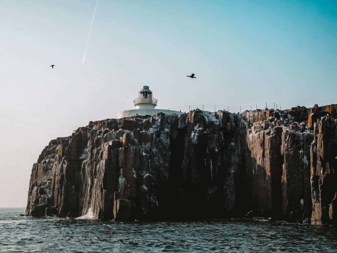 Farne Islands Northumberland