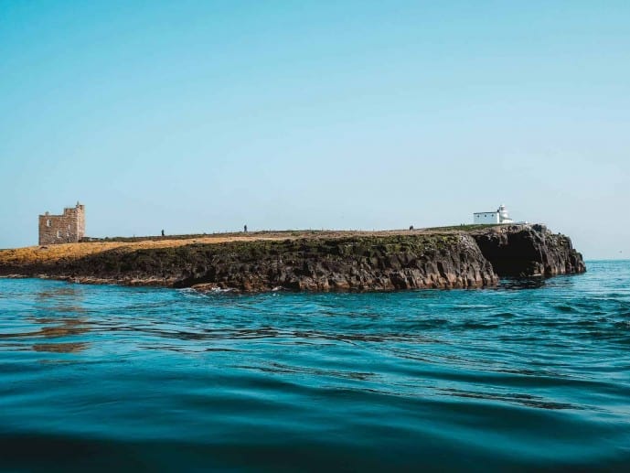 Inner Farne Island National Trust