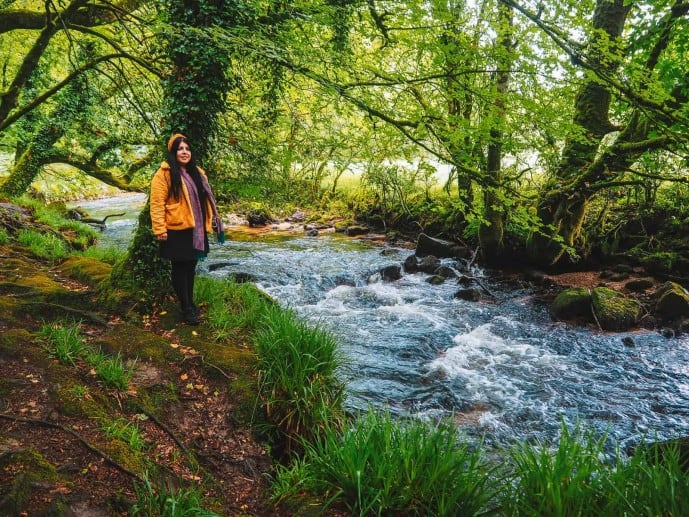 Golitha Falls walks