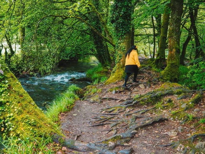 What to wear for Golitha falls walk