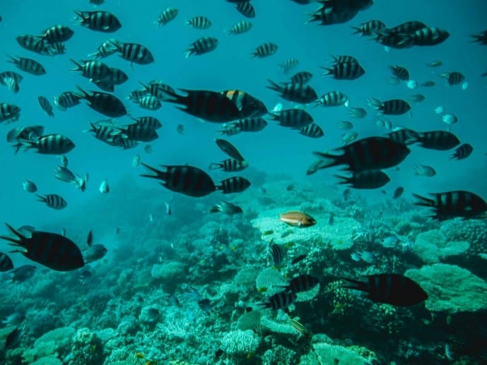 Hurghada or Sharm El Sheikh? From Someone Who's Been to Both! 17 hurghada or sharm el sheikh