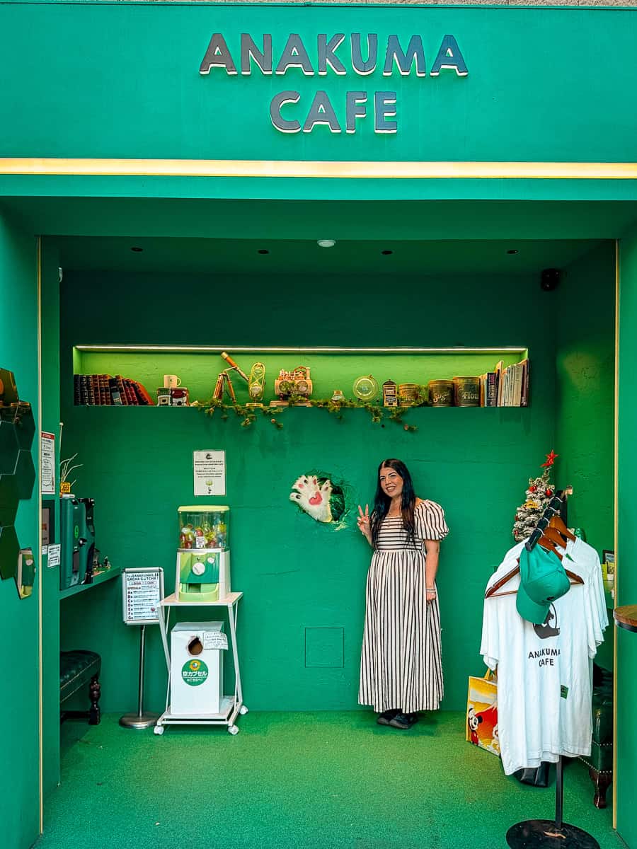 Anakuma Cafe