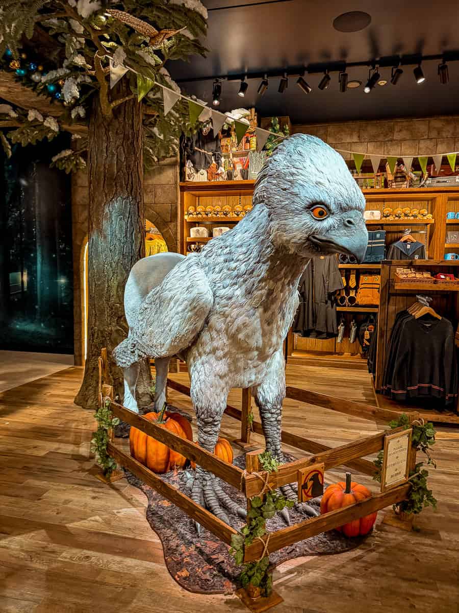 Harajuku Harry Potter Shop