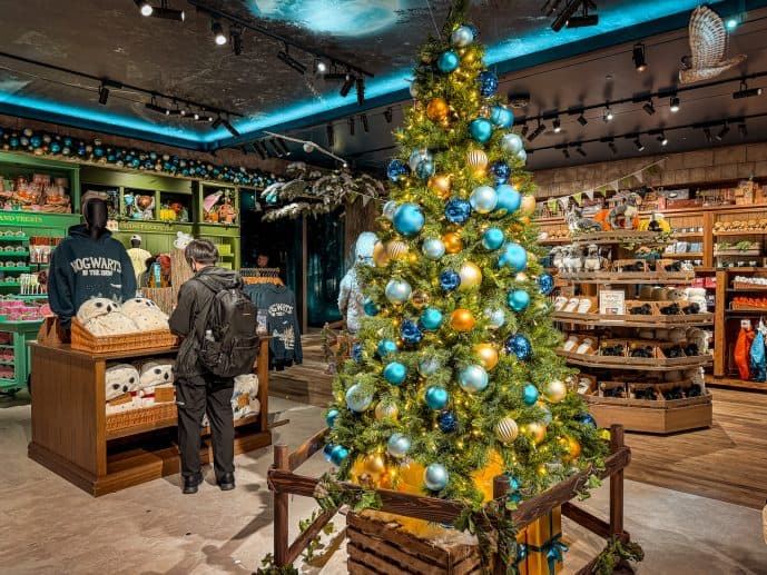 Harajuku Harry Potter Shop