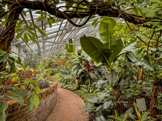 How to Visit Leuven University Library - A Literary Gem in Belgium (2026)! 32 Leuven Botanical Garden