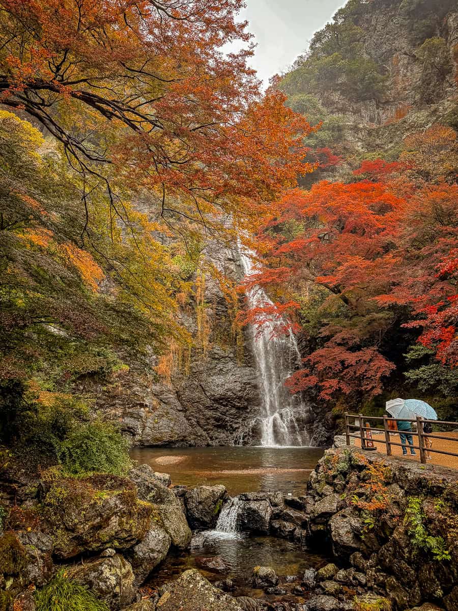 Minoh Waterfall Japan Momiji season